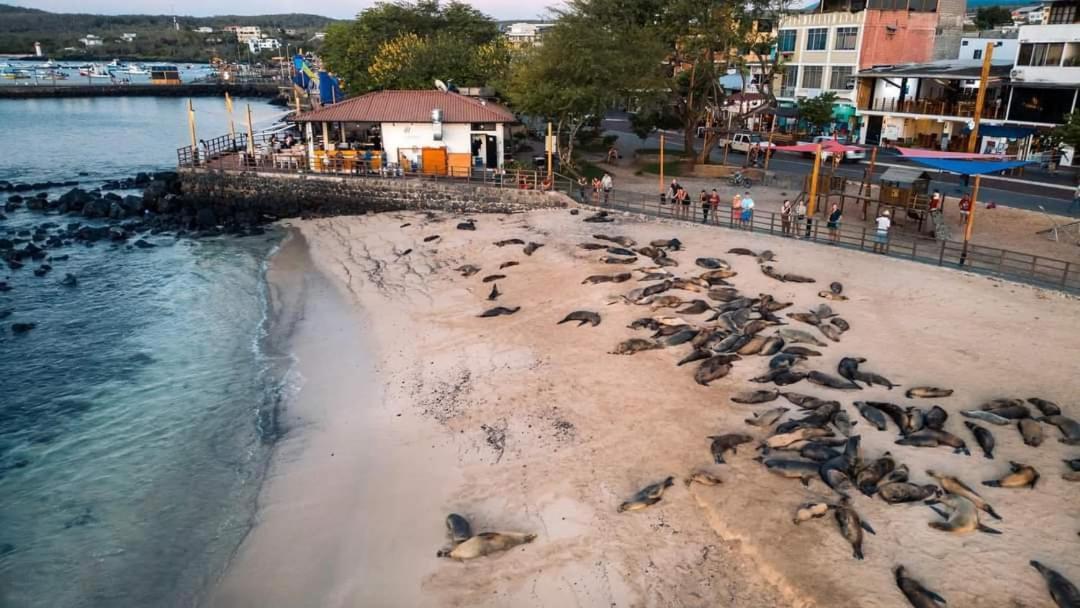 Royal Galapagos Inn プエルト・バケリソ・モレノ エクステリア 写真